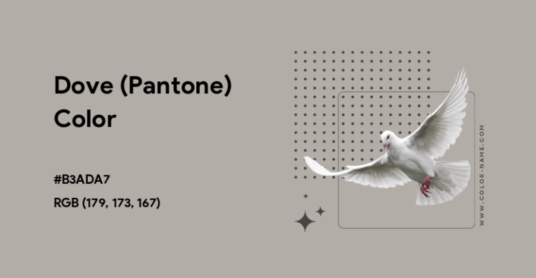 warna dove