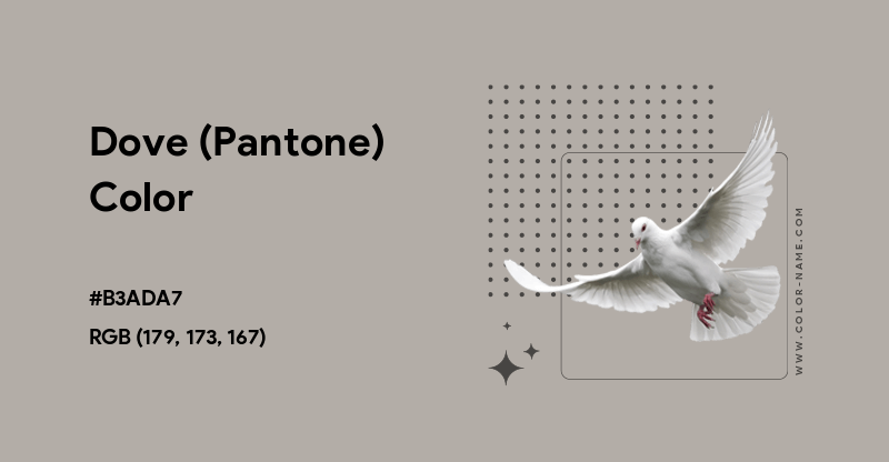 warna dove
