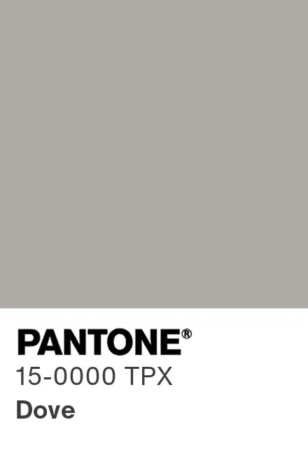 warna dove