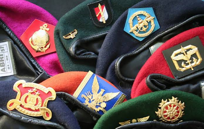 Jenis Seragam Institusi Pertahanan