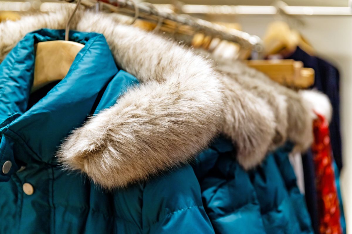 Panduan Lengkap Jenis-Jenis Jaket Berdasarkan Fungsinya
