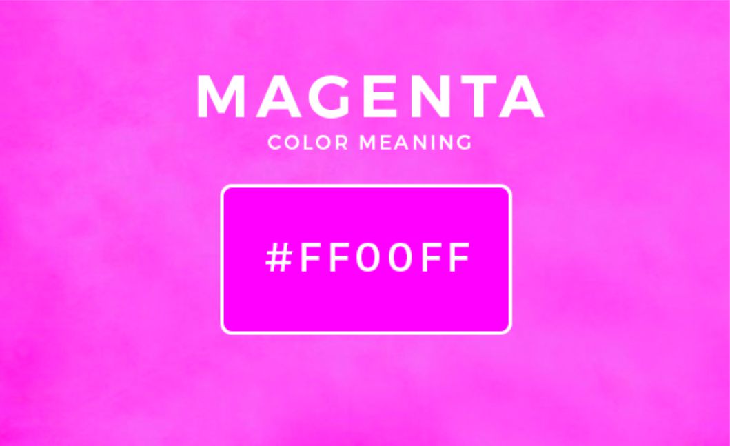 warna magenta 1