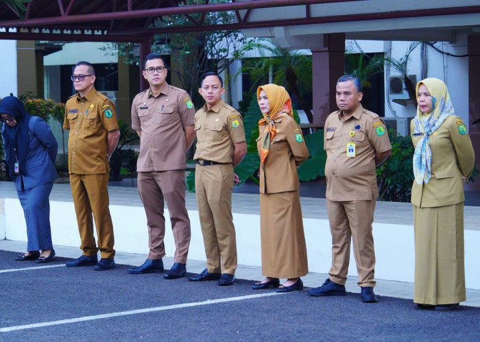 Model Baju Dinas